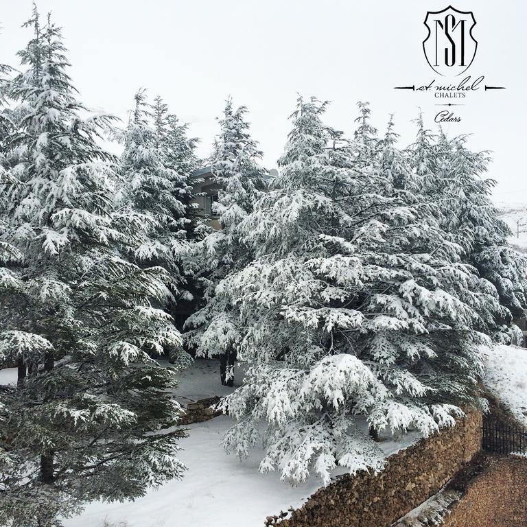 Saint Michel Chalets アル・アルツ エクステリア 写真