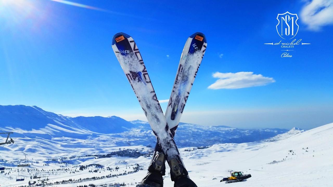 Saint Michel Chalets アル・アルツ エクステリア 写真