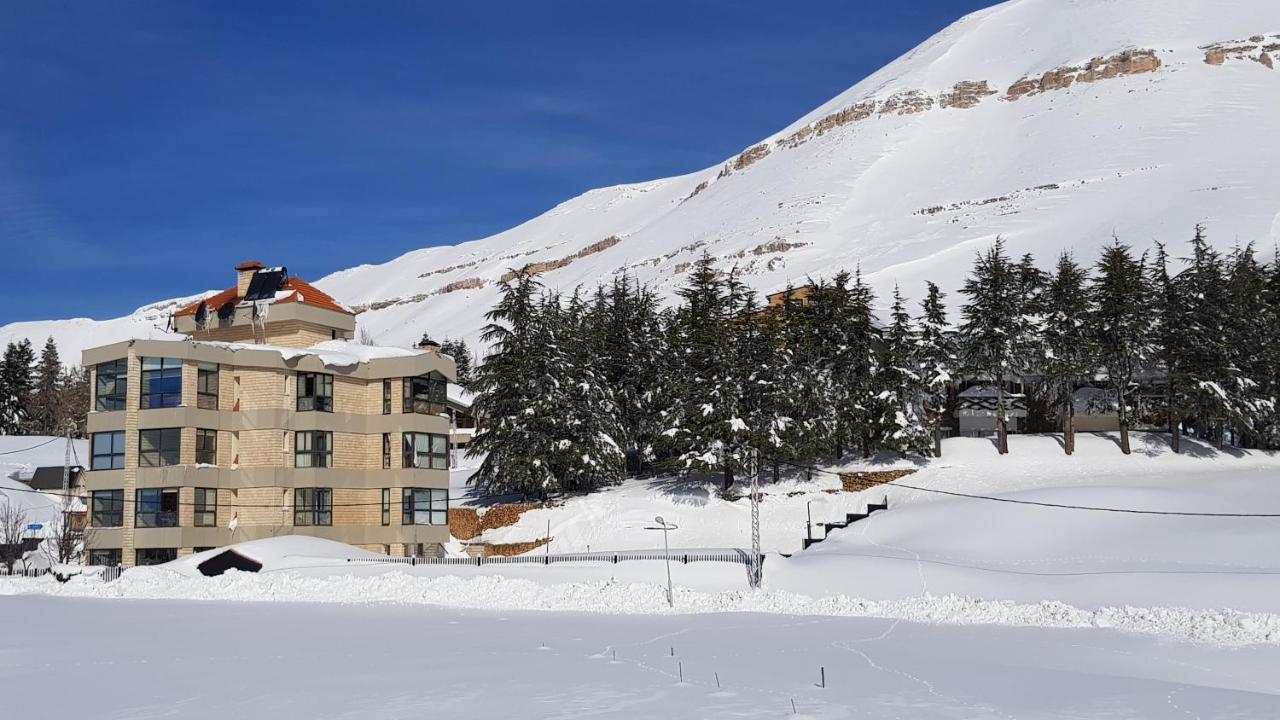 Saint Michel Chalets アル・アルツ エクステリア 写真
