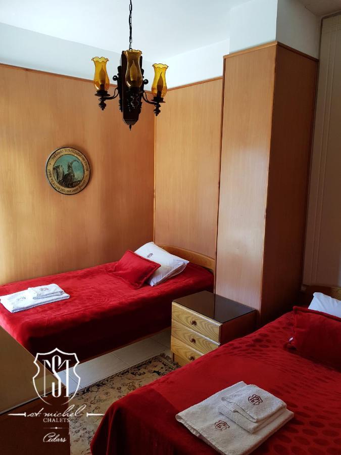 Saint Michel Chalets アル・アルツ エクステリア 写真